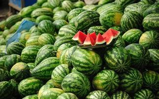 农村吃土瓜视频下载免费,感受乡土风情  第3张